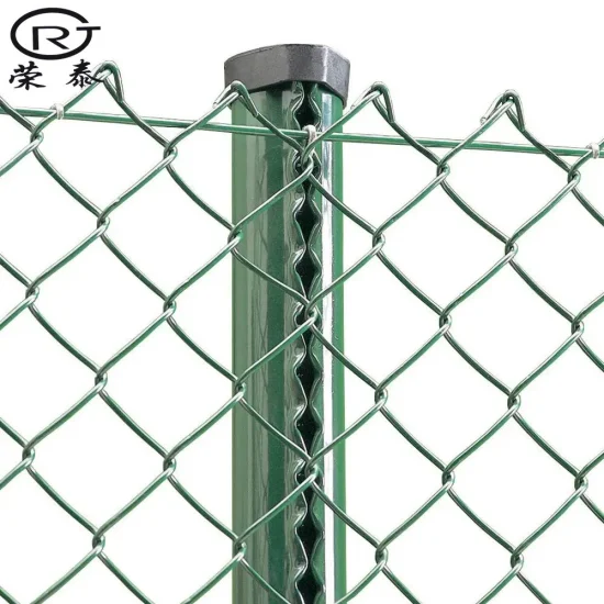 Malla de alambre tejido valla de eslabón de cadena recubierta de PVC de jardín de precio de esgrima de diamantes