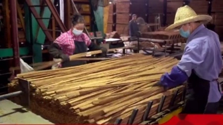 (Impermeable, resistente a la congelación) Pisos de bambú tejido de hebras para interiores y exteriores de ingeniería